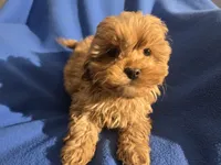 processed/7f459de2-3cf1-4a3f-8e8a-6ad81be9533d/listing/07652276-b448-47ef-992a-828041faf993/c03c334a-43e0-4170-adbd-a579305c16d5