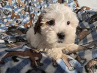 processed/7f459de2-3cf1-4a3f-8e8a-6ad81be9533d/listing/1b9a49a3-8450-4c3f-9124-34930e0cf844/1dada91b-1f2f-4b36-9def-de909de6dc2e