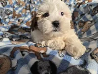 processed/7f459de2-3cf1-4a3f-8e8a-6ad81be9533d/listing/1b9a49a3-8450-4c3f-9124-34930e0cf844/3667a8d8-4114-4737-a826-df14b884dfb6