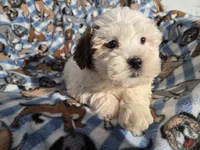 processed/7f459de2-3cf1-4a3f-8e8a-6ad81be9533d/listing/1b9a49a3-8450-4c3f-9124-34930e0cf844/f9bde207-c49d-4fd5-ba37-c7876278c127