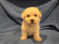 processed/7f459de2-3cf1-4a3f-8e8a-6ad81be9533d/listing/2091cb71-04a4-441c-b3aa-c2f8daad3cfd/47fd9abf-41e3-46fd-8ba0-0045a9fd9485