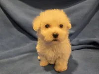 processed/7f459de2-3cf1-4a3f-8e8a-6ad81be9533d/listing/2091cb71-04a4-441c-b3aa-c2f8daad3cfd/5cb17333-7e3a-488e-adcd-2a11eae3aa8c