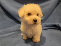 processed/7f459de2-3cf1-4a3f-8e8a-6ad81be9533d/listing/2091cb71-04a4-441c-b3aa-c2f8daad3cfd/9aa18f58-9fc6-42e9-8709-55960c450dbb