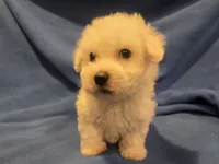 processed/7f459de2-3cf1-4a3f-8e8a-6ad81be9533d/listing/2091cb71-04a4-441c-b3aa-c2f8daad3cfd/c82ef57d-6cbe-4582-99b4-2c0be6b985ff