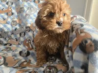 processed/7f459de2-3cf1-4a3f-8e8a-6ad81be9533d/listing/4ad203dd-b25e-49d1-ac56-94843033cac5/a2d09235-421a-4941-9ff5-f5130fdab2b2