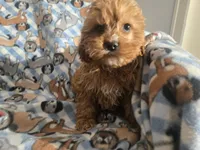 processed/7f459de2-3cf1-4a3f-8e8a-6ad81be9533d/listing/4ad203dd-b25e-49d1-ac56-94843033cac5/b9c0f595-0195-4b9f-9ef3-31a602505c0c