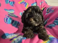 processed/7f459de2-3cf1-4a3f-8e8a-6ad81be9533d/listing/6379db98-258c-4409-919a-b29f570cc64b/54e09200-2218-4149-b872-04d2968db440