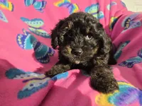 processed/7f459de2-3cf1-4a3f-8e8a-6ad81be9533d/listing/6379db98-258c-4409-919a-b29f570cc64b/9c1e4aaa-45a8-428b-9f0c-6d0982e4e892