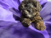 processed/7f459de2-3cf1-4a3f-8e8a-6ad81be9533d/listing/640d01bf-991f-43a2-adc5-9957f0277eba/eae10e00-48ae-4510-977e-7f494be9eb92