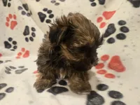 processed/7f459de2-3cf1-4a3f-8e8a-6ad81be9533d/listing/6ab774fe-078e-47d8-8dbd-f6e7c8e65342/60849c3d-588a-411b-9677-871c4ebf8899