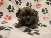 processed/7f459de2-3cf1-4a3f-8e8a-6ad81be9533d/listing/6ab774fe-078e-47d8-8dbd-f6e7c8e65342/768cc352-9898-4235-be92-c0c9e5a41e9a