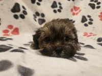 processed/7f459de2-3cf1-4a3f-8e8a-6ad81be9533d/listing/6ab774fe-078e-47d8-8dbd-f6e7c8e65342/e52f9b04-ba6c-4f9b-886d-1aac53d2522c