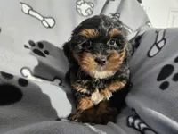 processed/7f459de2-3cf1-4a3f-8e8a-6ad81be9533d/listing/7844cb3c-d44b-4391-94d8-bf5fc732c091/9d623fbb-387d-453b-8faf-fed6bdda5f0f