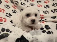 processed/7f459de2-3cf1-4a3f-8e8a-6ad81be9533d/listing/8375bc82-8021-45b6-89e0-0e6ac22399db/08dd2261-2f96-4288-a04c-1fa1c4818d18