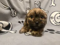 processed/7f459de2-3cf1-4a3f-8e8a-6ad81be9533d/listing/94d89109-472a-4479-bb7c-94ac72c80c1c/a79235ff-c1cb-4393-a838-7bcb5657f123