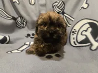 processed/7f459de2-3cf1-4a3f-8e8a-6ad81be9533d/listing/94d89109-472a-4479-bb7c-94ac72c80c1c/af331688-d2d1-488f-9b62-f9aaefbcafe9