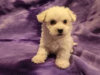 processed/7f459de2-3cf1-4a3f-8e8a-6ad81be9533d/listing/9d22330b-74c4-4109-87dd-111b2eaa4550/2382733b-5e56-4714-9656-80ac2ab44b14