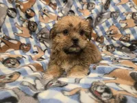 processed/7f459de2-3cf1-4a3f-8e8a-6ad81be9533d/listing/9e65524f-57ad-4223-a6c3-d2b52b6a71e3/5c15ee3e-5279-40e0-8f23-6617344e424b