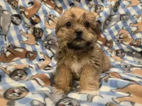 processed/7f459de2-3cf1-4a3f-8e8a-6ad81be9533d/listing/9e65524f-57ad-4223-a6c3-d2b52b6a71e3/7a35eb1e-e863-4d73-bd88-0f86c7ac2578