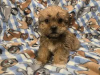 processed/7f459de2-3cf1-4a3f-8e8a-6ad81be9533d/listing/9e65524f-57ad-4223-a6c3-d2b52b6a71e3/d2b5e29e-1f2e-4c85-8152-7584d0b66e4e