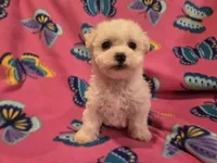 processed/7f459de2-3cf1-4a3f-8e8a-6ad81be9533d/listing/b6955baf-9289-47a9-a552-0def3e62cad5/463c3b61-86f4-4d66-95e8-9725ef6d41fc