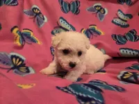 processed/7f459de2-3cf1-4a3f-8e8a-6ad81be9533d/listing/b6955baf-9289-47a9-a552-0def3e62cad5/85a0604f-da92-49e9-89ca-589cca310db3