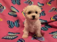 processed/7f459de2-3cf1-4a3f-8e8a-6ad81be9533d/listing/b6955baf-9289-47a9-a552-0def3e62cad5/c1977554-fbec-4eb0-b1dd-59e93622ad4f