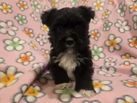 processed/7f459de2-3cf1-4a3f-8e8a-6ad81be9533d/listing/be3fe752-3390-4399-9370-3bc84d945958/15312708-59ca-4a74-9b45-d053a814d7c1