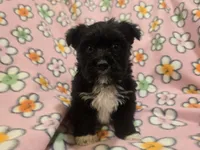 processed/7f459de2-3cf1-4a3f-8e8a-6ad81be9533d/listing/be3fe752-3390-4399-9370-3bc84d945958/50f2016b-d5b7-4bce-85ef-8781461facc7