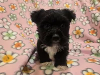 processed/7f459de2-3cf1-4a3f-8e8a-6ad81be9533d/listing/be3fe752-3390-4399-9370-3bc84d945958/725c03de-c6fc-4f56-abf7-052836442ea1