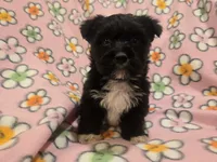 processed/7f459de2-3cf1-4a3f-8e8a-6ad81be9533d/listing/be3fe752-3390-4399-9370-3bc84d945958/bfe59547-064c-487f-ab05-c34e50fe7137