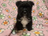 processed/7f459de2-3cf1-4a3f-8e8a-6ad81be9533d/listing/be3fe752-3390-4399-9370-3bc84d945958/d509be61-8219-49fd-a081-65d866157739