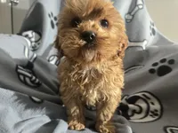 processed/7f459de2-3cf1-4a3f-8e8a-6ad81be9533d/listing/d1bb2da9-c40b-4434-bc34-1c9d54ecda44/62455595-045b-4372-b63c-ab8ea567bc56