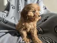 processed/7f459de2-3cf1-4a3f-8e8a-6ad81be9533d/listing/d1bb2da9-c40b-4434-bc34-1c9d54ecda44/c18a4761-e696-4465-b2af-5e41cf076489