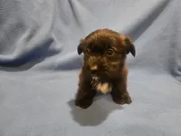 processed/7f459de2-3cf1-4a3f-8e8a-6ad81be9533d/listing/d2308810-deb0-4a12-8a8d-7f0b8a3e6ec6/13e5ddf7-f6d4-4c8a-871e-f4480ccff23d