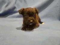 processed/7f459de2-3cf1-4a3f-8e8a-6ad81be9533d/listing/d2308810-deb0-4a12-8a8d-7f0b8a3e6ec6/4f7febe2-8400-4f7e-83a1-498ec6acd4b6