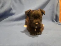 processed/7f459de2-3cf1-4a3f-8e8a-6ad81be9533d/listing/d2308810-deb0-4a12-8a8d-7f0b8a3e6ec6/97f74087-a905-4a73-a2b7-25a23ba803fb