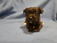 processed/7f459de2-3cf1-4a3f-8e8a-6ad81be9533d/listing/d2308810-deb0-4a12-8a8d-7f0b8a3e6ec6/fe1cb4c1-f8b0-4f1c-af16-f303c18fa03e