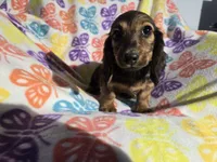 processed/7f459de2-3cf1-4a3f-8e8a-6ad81be9533d/listing/dabe30a9-c8ff-4f4d-bad5-389fc0ea8bd5/379ff7bd-7566-4cda-933d-0c1066a488e6