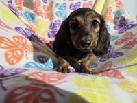 processed/7f459de2-3cf1-4a3f-8e8a-6ad81be9533d/listing/dabe30a9-c8ff-4f4d-bad5-389fc0ea8bd5/83240aac-5e19-40cd-a841-55a6bc0d1bb6