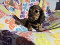 processed/7f459de2-3cf1-4a3f-8e8a-6ad81be9533d/listing/dabe30a9-c8ff-4f4d-bad5-389fc0ea8bd5/89d42dc0-5a57-4f4a-af0d-9b5affce0b66