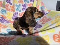 processed/7f459de2-3cf1-4a3f-8e8a-6ad81be9533d/listing/dabe30a9-c8ff-4f4d-bad5-389fc0ea8bd5/9531fa99-30bf-4747-bc35-0dc75700d989