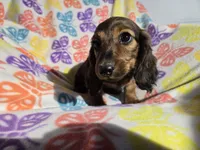 processed/7f459de2-3cf1-4a3f-8e8a-6ad81be9533d/listing/dabe30a9-c8ff-4f4d-bad5-389fc0ea8bd5/a67dd00b-0a03-4338-a374-74ead5eba267