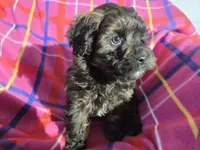 processed/7f459de2-3cf1-4a3f-8e8a-6ad81be9533d/listing/e146b674-688b-4ce8-a4ce-4f4f46804c53/8e0e6483-fe83-4007-bce0-1d1cf64e4783