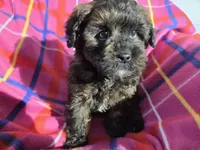 processed/7f459de2-3cf1-4a3f-8e8a-6ad81be9533d/listing/e146b674-688b-4ce8-a4ce-4f4f46804c53/c3450232-a87e-47b7-b4bf-9f2aa96269e1