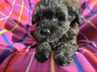 processed/7f459de2-3cf1-4a3f-8e8a-6ad81be9533d/listing/e146b674-688b-4ce8-a4ce-4f4f46804c53/da02ea99-c0c9-4158-aeab-ffaeb5cbb788