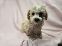 processed/7f459de2-3cf1-4a3f-8e8a-6ad81be9533d/listing/f64cd8ba-7a95-4959-8cdc-c02afedd1c3b/37d59549-ec76-4ebc-828c-ff645b6b5545