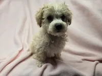 processed/7f459de2-3cf1-4a3f-8e8a-6ad81be9533d/listing/f64cd8ba-7a95-4959-8cdc-c02afedd1c3b/4adba001-6e43-4257-aef3-9e02e5f2535c