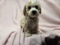 processed/7f459de2-3cf1-4a3f-8e8a-6ad81be9533d/listing/f64cd8ba-7a95-4959-8cdc-c02afedd1c3b/6eb4592e-297b-49ad-8acf-402055ac4697