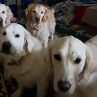 processed/7f4cd1b8-56d9-478a-8846-03ad7db52952/facility/252658e3-0371-453c-9949-2c57c8cc7c8a